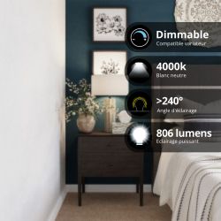 Ampoule LED A60 Dimmable, culot E27, conso. 12W (eq. 100W), 1521 lumens, Blanc neutre