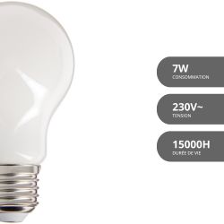 Ampoule LED A60 Dimmable, culot E27, conso. 12W (eq. 100W), 1521 lumens, Blanc neutre