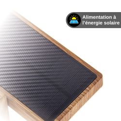 Borne Solaire 50cm IP44 600 Lumens - Détecteur de mouvements - 3 modes de fonctionnement - Finitions bois