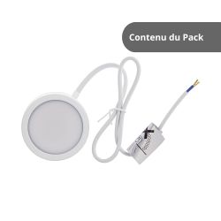 Lot de 10 Ampoules LED R50, culot E14, 6W cons. (40W eq.), lumière blanc chaud