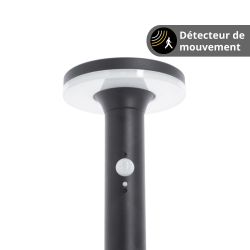 Borne LED Solaire, x2 Détecteurs (Crépusculaire / Mouvement ), 400 Lumens