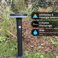 Borne LED Solaire, x2 Détecteurs (Crépusculaire / Mouvement ), 400 Lumens