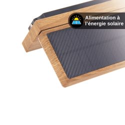 Applique murale Solaire IP44 600 Lumens - Détecteur de mouvements - 3 modes de fonctionnement - Finitions bois