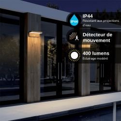 Applique murale Solaire IP44 600 Lumens - Détecteur de mouvements - 3 modes de fonctionnement - Finitions bois