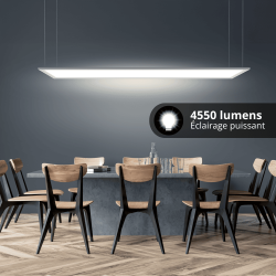 Plafonnier LED rectangulaire - cons. 42W - 3300 lumens - Blanc neutre - Extra plat