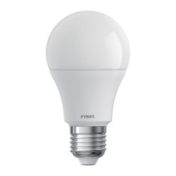 Lot de 10 ampoules LED,...